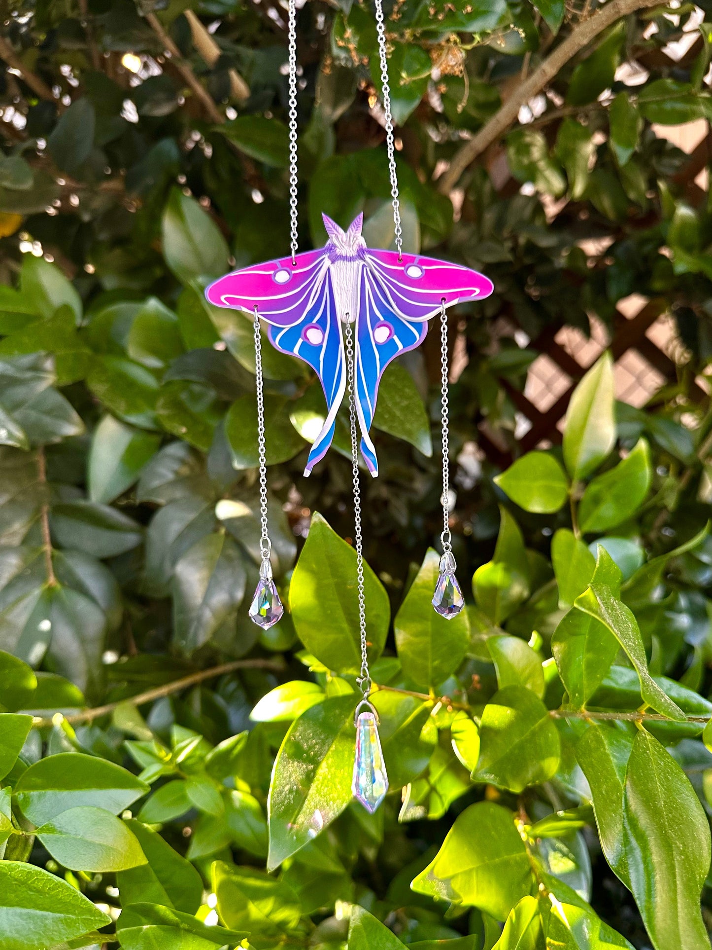 Bi Flag Moth Suncatcher