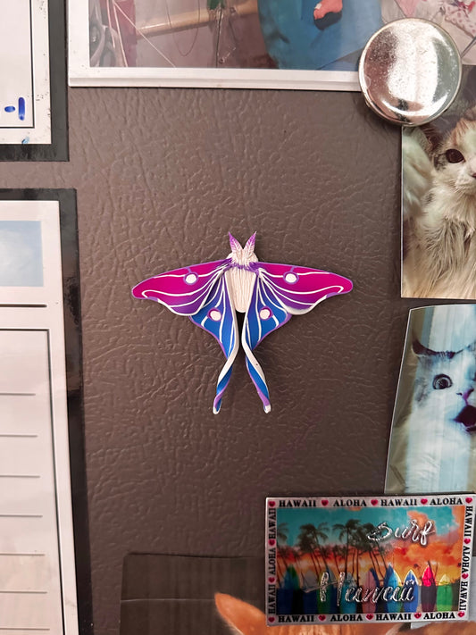 Bi Flag Moth Magnets