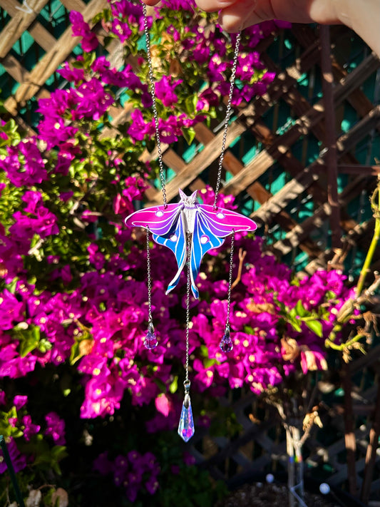 Bi Flag Moth Suncatcher