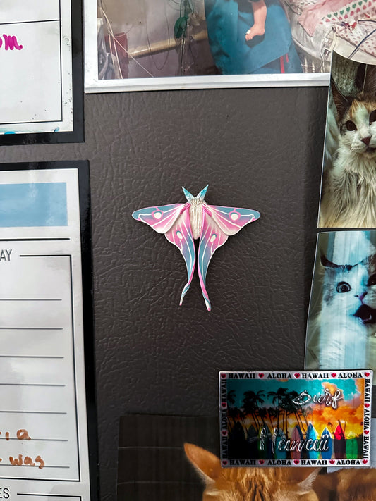 Trans Flag Moth Magnet